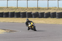 7th-March-2020;Anglesey-Race-Circuit;No-Limits-Track-Day;anglesey-no-limits-trackday;anglesey-photographs;anglesey-trackday-photographs;enduro-digital-images;event-digital-images;eventdigitalimages;no-limits-trackdays;peter-wileman-photography;racing-digital-images;trac-mon;trackday-digital-images;trackday-photos;ty-croes